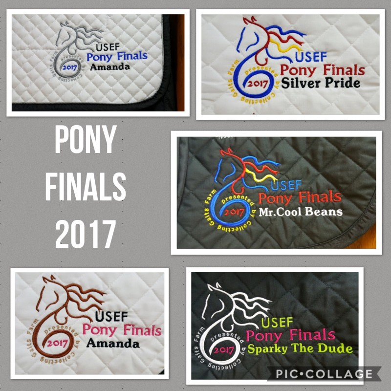 Pony Finals 2017