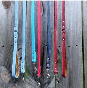 Dog Collars and Leashes