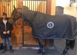 custom rain sheet by Equine Outfitters