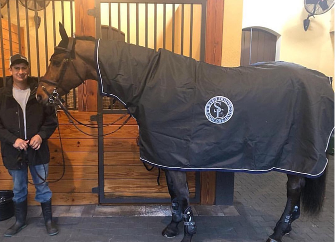 custom rain sheet by Equine Outfitters