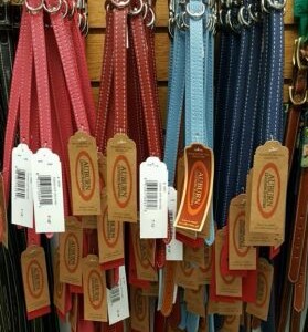 Dog Collars and Leashes