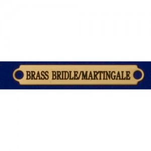 2 1/2" Brass Bridle/Saddle Plates