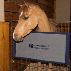 Horse with stall guard
