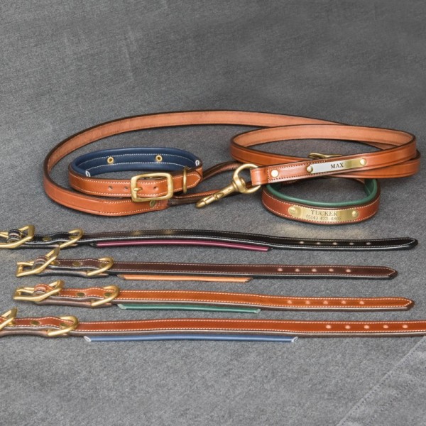 Tory Padded Leather Dog Collar