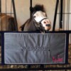 Sunbrella Stall Guard - Image 5
