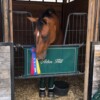 Sunbrella Stall Guard - Image 3
