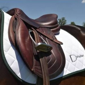 Horse & Pony Saddle Pads