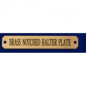 3/4" Notched Brass Halter Plate