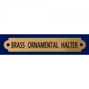3/4" Ornamental Brass Halter Plate