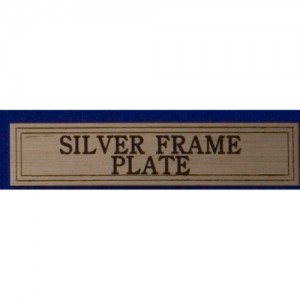 Silver Frame Name Plate w/ Adhesive Backings