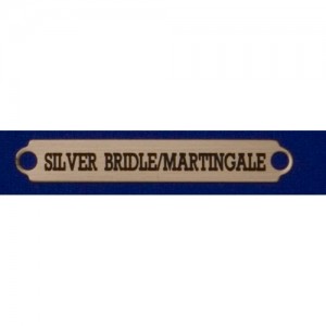 2 1/2" Silver Bridle/Saddle Plates