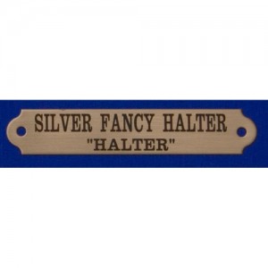 3/4" Fancy Silver Halter Plate