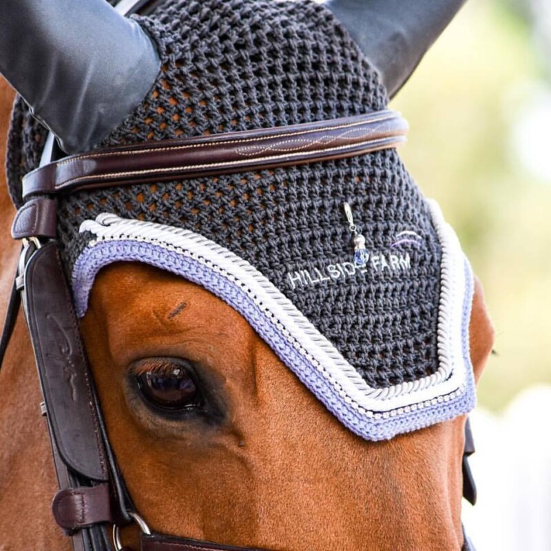 Talisman U Shaped Horse Fly