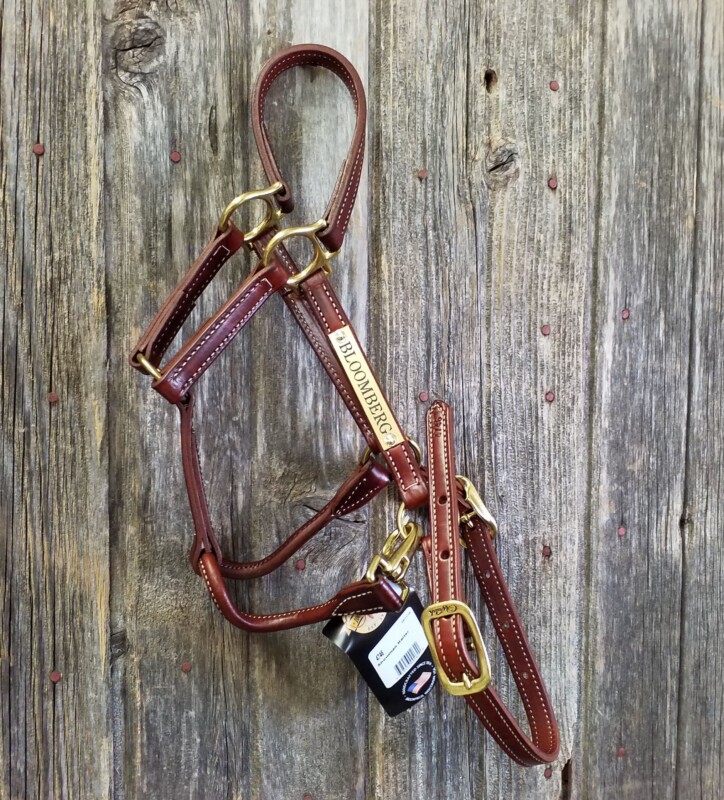 Leather Showman Halter