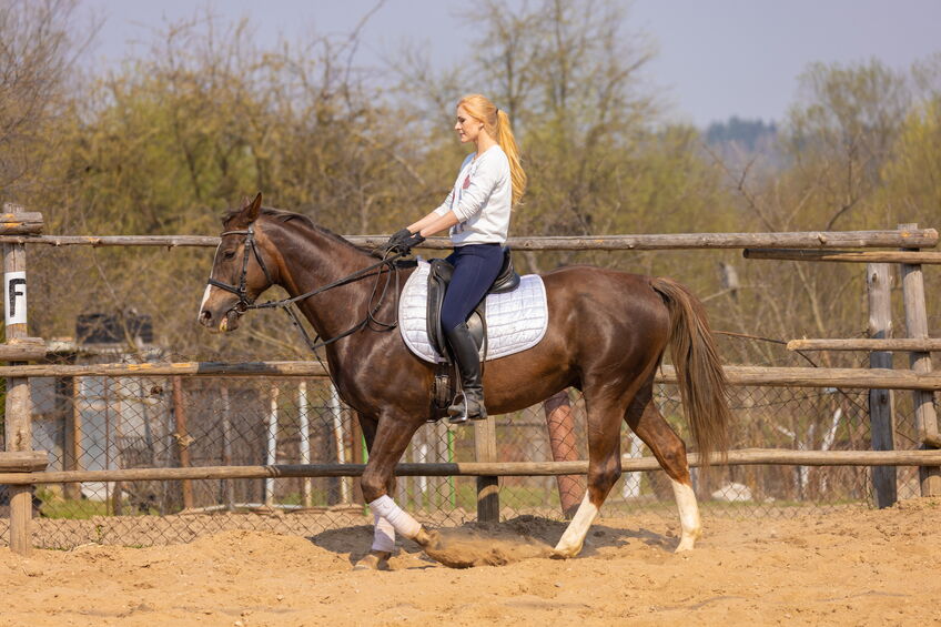 Girl riding a horse gallops in a paddock on a ranch