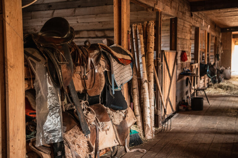 essential-horse-riding-gear-for-beginners-personalized-products-corp