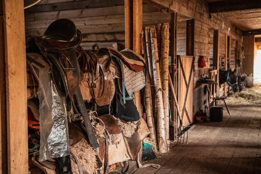 Leather saddles, soft blankets, steel stirrups and other riding equipment in the wooden stable on the ranch