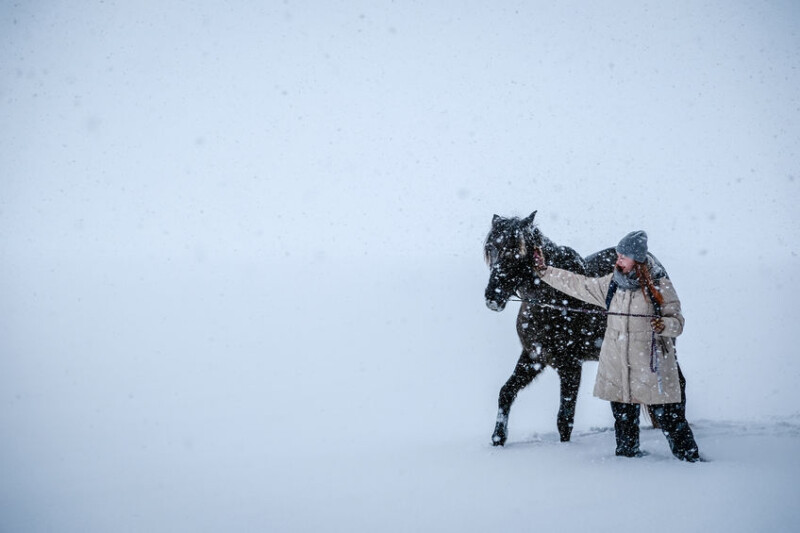 How to Keep Your Horse Entertained This Winter Personalized Products Corp
