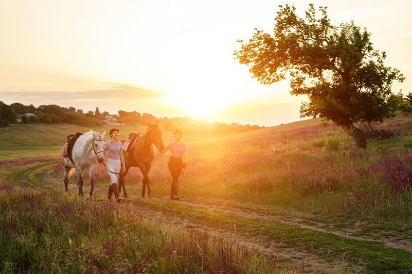 Two woman and two horses outdoor in summer happy sunset together nature