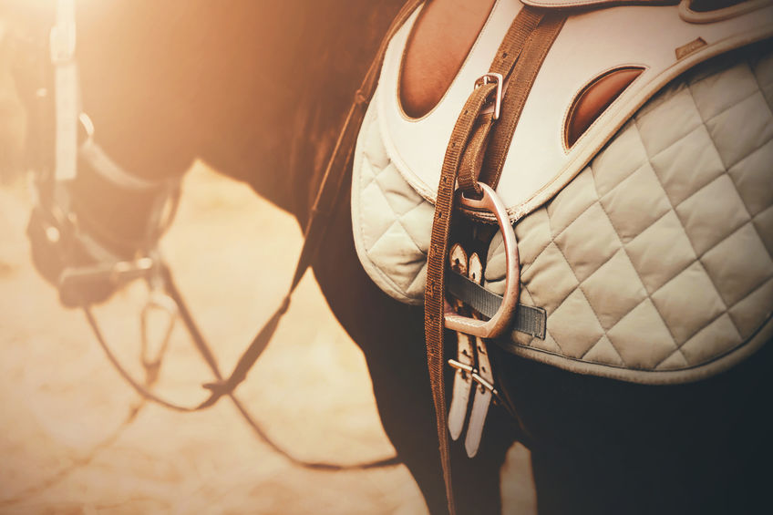 A beautiful bay pony is wearing equestrian ammunition: a leather saddle, a light saddlecloth and a bridle on a sunny day