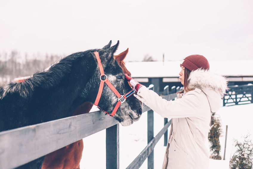 Photo of teenage girl touching a horse on the ranch in cold snowy day