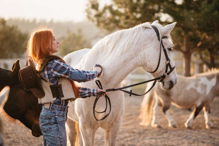 Young woman farmer combing a horse at the ranch. Close-up.