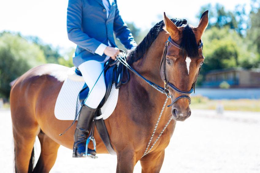 Horse riding. Strong sportsman enjoying horse riding doing it on nice warm summer day