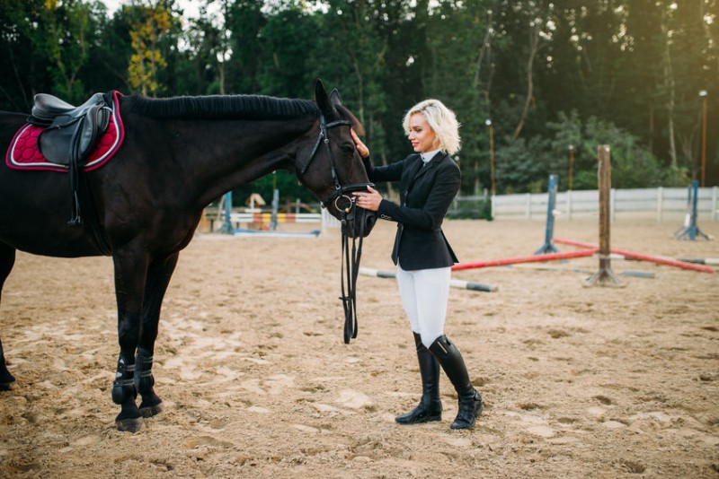 Young woman in jockey uniform stroking a horse, horseback riding. Brown stallion, leisure with animal, equestrian sport